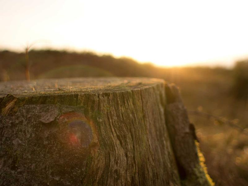 accessibility screenshot 6